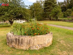 Prodej komerčního pozemku, Podhradí nad Dyjí, 7022 m2