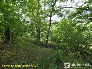 Prodej pozemku, Svitávka, 3502 m2