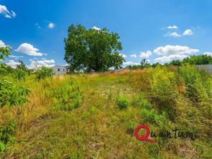 Prodej pozemku pro bydlení, Brandýsek, Pod lékárnou, 2715 m2