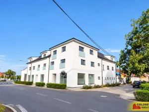 Prodej bytu 3+kk, Hrušovany nad Jevišovkou, 95 m2