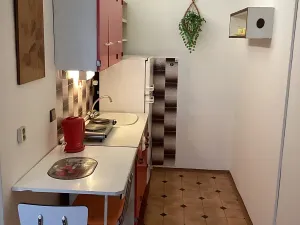 Pronájem bytu 1+kk, Brno, Vltavská, 34 m2