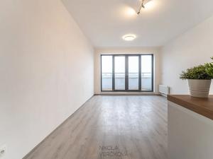 Pronájem bytu 1+kk, Brno, Opuštěná, 29 m2