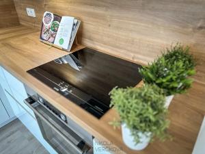 Pronájem bytu 1+kk, Brno, Opuštěná, 29 m2