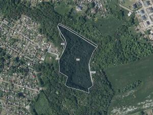 Prodej louky, Bílina, 28028 m2