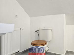 Pronájem chaty, Dubné - Křenovice, 61 m2