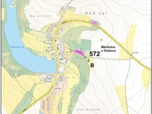 Prodej lesa, Martinice u Onšova, 241 m2