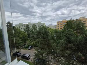Pronájem bytu 1+1, Brno, Fleischnerova, 40 m2