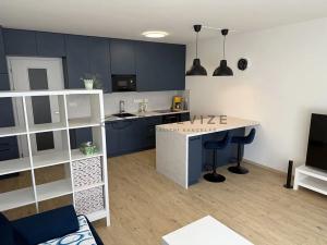 Pronájem bytu 1+kk, České Budějovice, Chelčického, 38 m2