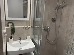 Pronájem bytu 1+kk, České Budějovice, Chelčického, 38 m2
