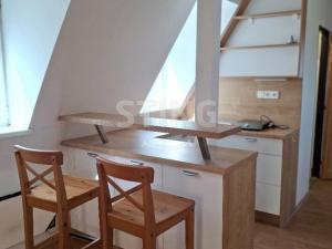 Pronájem bytu 1+kk, Opava, Vrchní, 28 m2
