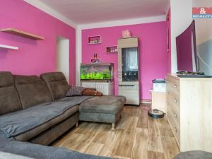 Prodej chalupy, Dobev - Malé Nepodřice, 444 m2