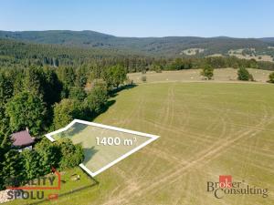 Prodej pozemku pro bydlení, Říčky v Orlických horách, 1400 m2