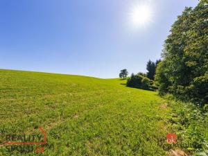 Prodej pozemku pro bydlení, Říčky v Orlických horách, 1400 m2