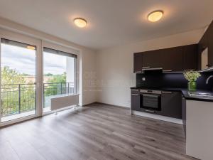 Pronájem bytu 1+kk, Plzeň, Slovanská, 31 m2