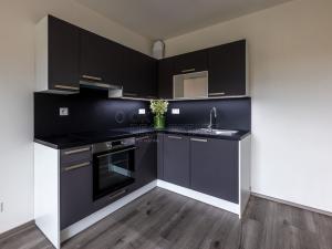 Pronájem bytu 1+kk, Plzeň, Slovanská, 31 m2