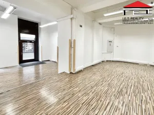 Pronájem restaurace, Brno, Josefská, 106 m2