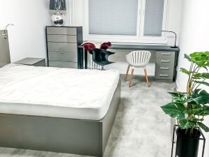 Pronájem bytu 2+kk, Praha - Stodůlky, Borovanského, 40 m2