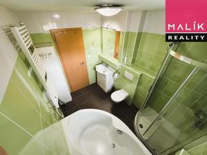 Prodej bytu 2+1, Ostrov, Šafaříkova, 55 m2