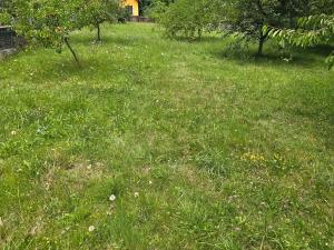 Prodej rodinného domu, Chotoviny, Kaštanová, 145 m2