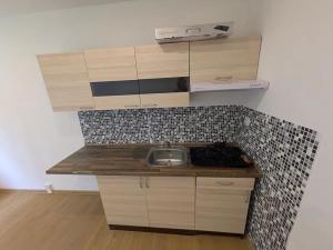 Pronájem bytu 1+kk, Kadaň, Na Podlesí, 21 m2