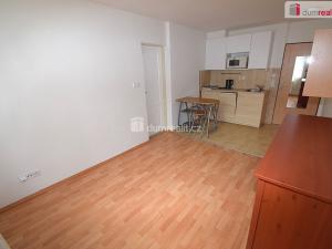 Pronájem bytu 2+kk, Praha - Smíchov, Nad Palatou, 30 m2