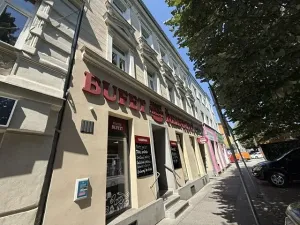 Pronájem bytu 1+kk, Brno, Palackého třída, 27 m2