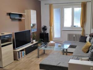 Pronájem bytu 2+1, Hodonín, Cihlářská čtvrť, 58 m2