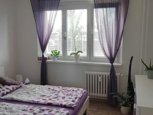 Pronájem bytu 2+1, Hodonín, Cihlářská čtvrť, 58 m2