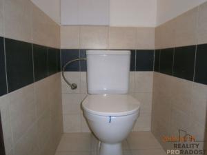 Pronájem bytu 2+1, Hodonín, Cihlářská čtvrť, 58 m2