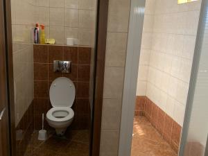 Pronájem pokoje, Ostrava - Moravská Ostrava, Nádražní, 25 m2