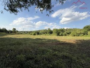 Prodej pozemku pro bydlení, Velemyšleves, 2241 m2