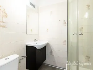 Pronájem bytu 1+kk, Praha - Staré Město, Dlouhá, 30 m2