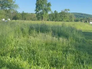 Prodej zahrady, Záhorovice, 1297 m2
