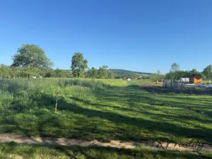 Prodej zahrady, Záhorovice, 1297 m2