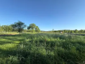 Prodej zahrady, Záhorovice, 1297 m2