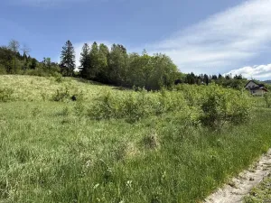 Prodej louky, Záhorovice, 3640 m2