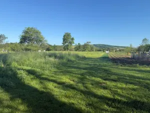 Prodej louky, Záhorovice, 3640 m2