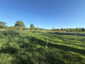 Prodej louky, Záhorovice, 3640 m2