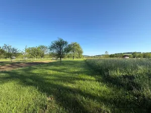 Prodej louky, Záhorovice, 3640 m2