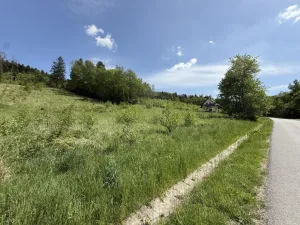 Prodej louky, Záhorovice, 3640 m2