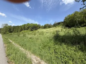 Prodej louky, Záhorovice, 3640 m2