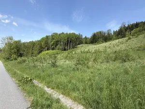 Prodej louky, Záhorovice, 3640 m2