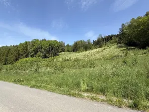 Prodej louky, Záhorovice, 3640 m2