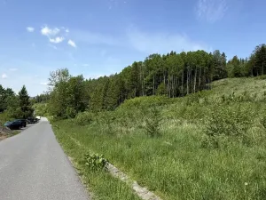 Prodej louky, Záhorovice, 3640 m2