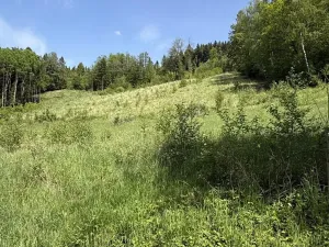 Prodej louky, Záhorovice, 3640 m2