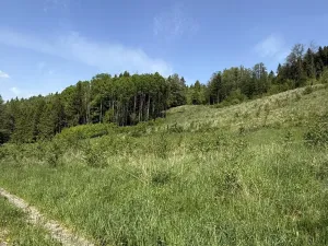 Prodej louky, Záhorovice, 3640 m2