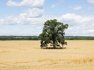 Prodej bytu 5+kk, Libníč, 124 m2