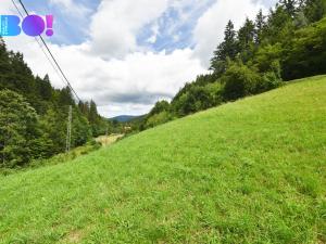 Prodej chalupy, Hutisko-Solanec - Solanec pod Soláněm, 180 m2