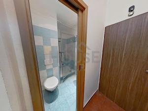 Prodej bytu 1+kk, Brandýs nad Labem-Stará Boleslav, Královická, 22 m2