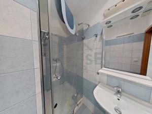Prodej bytu 1+kk, Brandýs nad Labem-Stará Boleslav, Královická, 22 m2